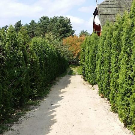 Wyspa Kampinos Brochów Exteriör bild