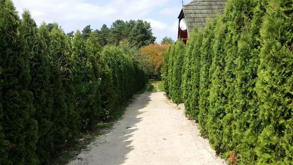 Wyspa Kampinos Brochów Exteriör bild