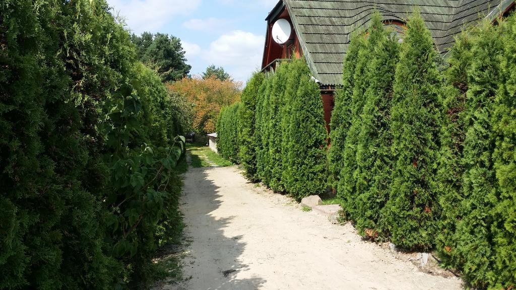 Wyspa Kampinos Brochów Exteriör bild